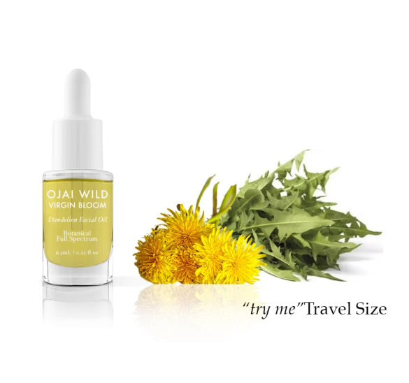 Mini Travel -- Dandelion Facial Oil 6.5ml / .22 fl oz