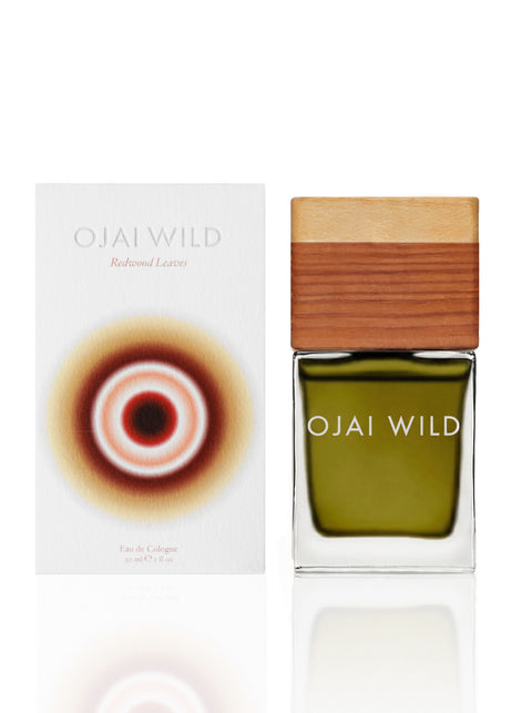 Redwood Leaves Fragrance | Ojai Wild